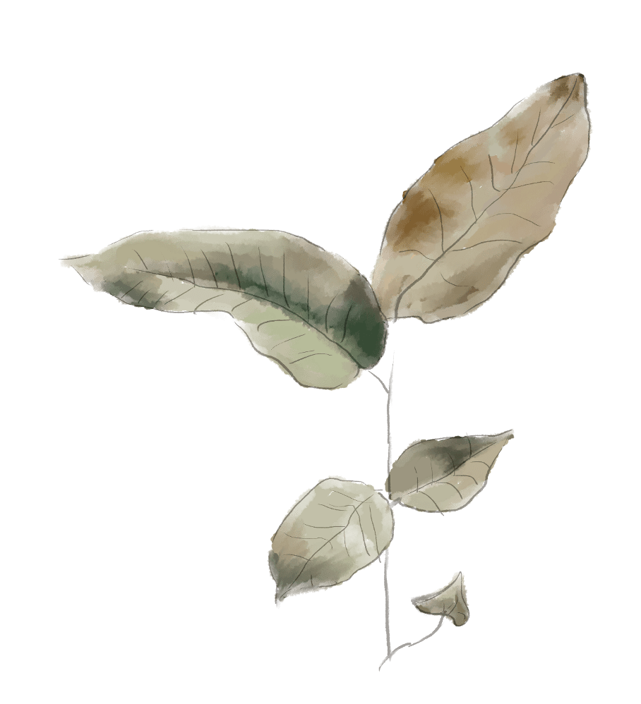 硬货|时尚丨穿薄荷绿总出错？点开收获全网最硬货搭配指南！