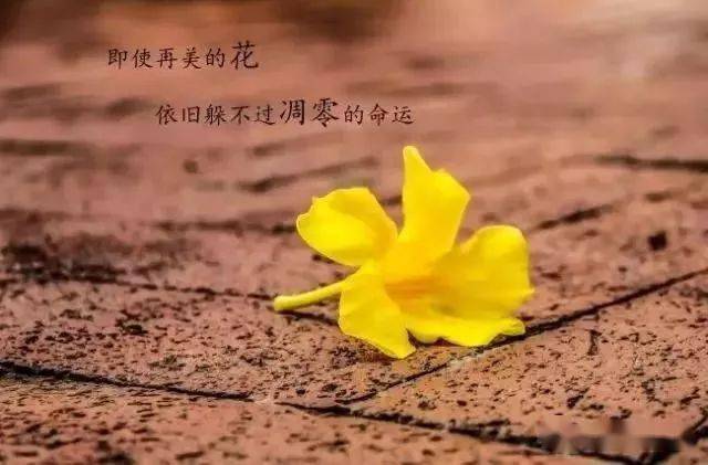 d84be7af8ca14310920f7d566a59c950.jpeg