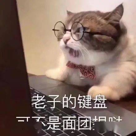 e981525768d0469283bdc4cf2bb23678.jpeg