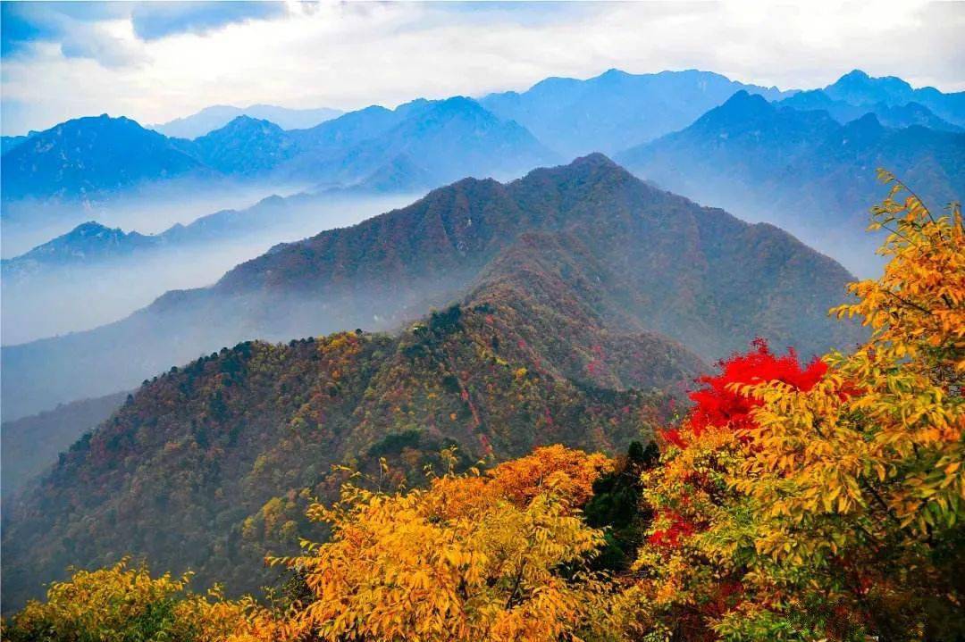 美文雅颂| 终南山的秋天