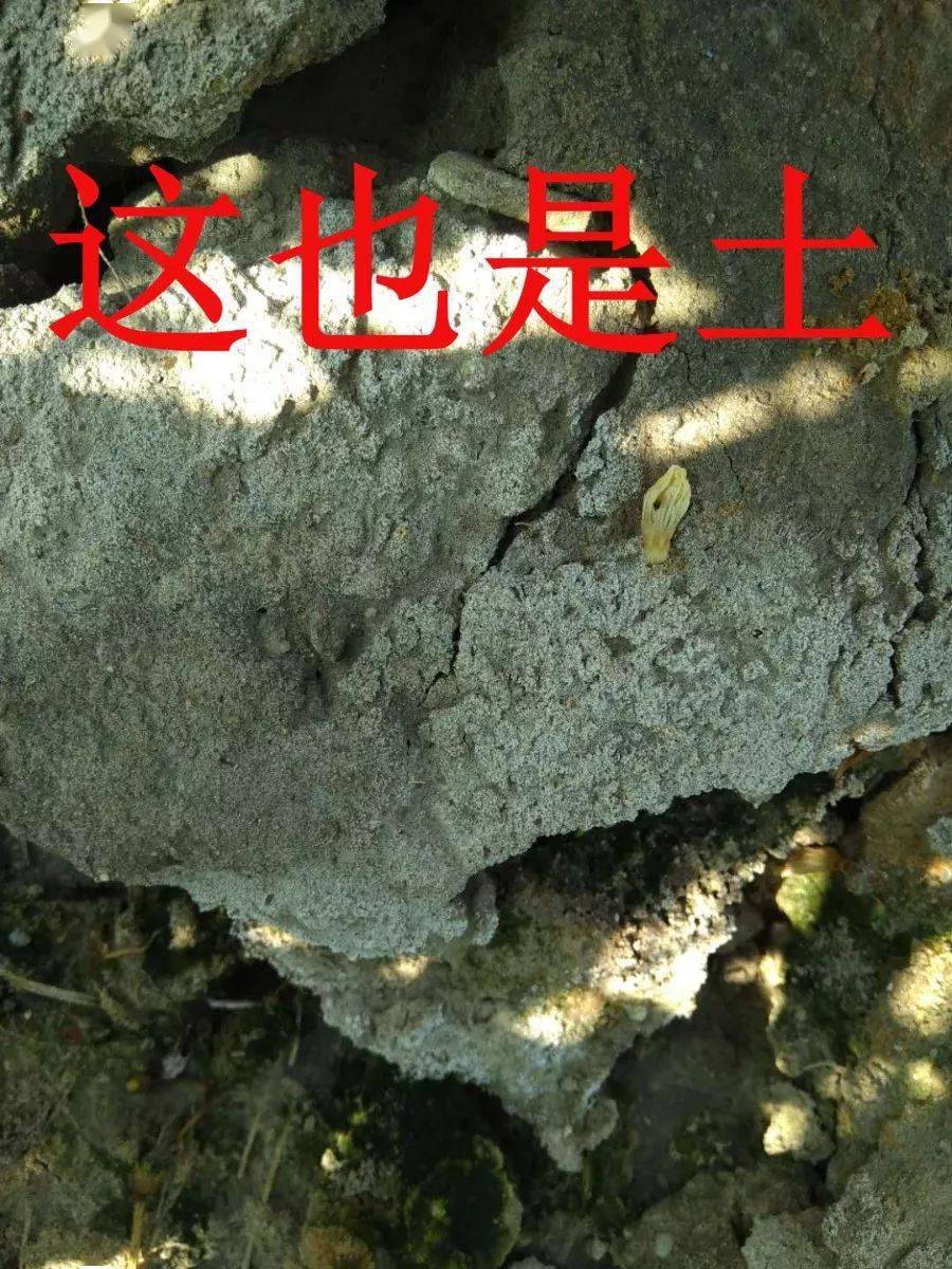 9be772ee469347a0b95cc36c1ee6d8cc.jpeg