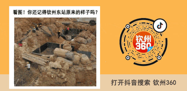 人口普查牛_人口普查图片