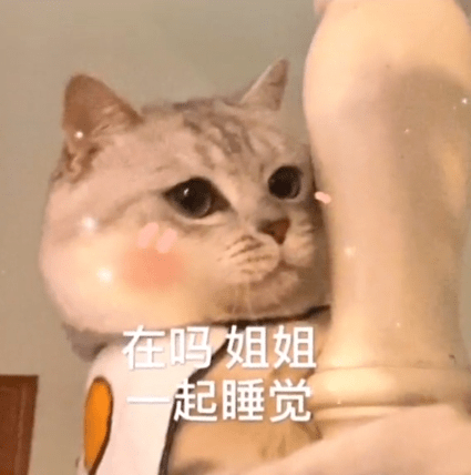 猫咪表情包你在我心里占了这么大