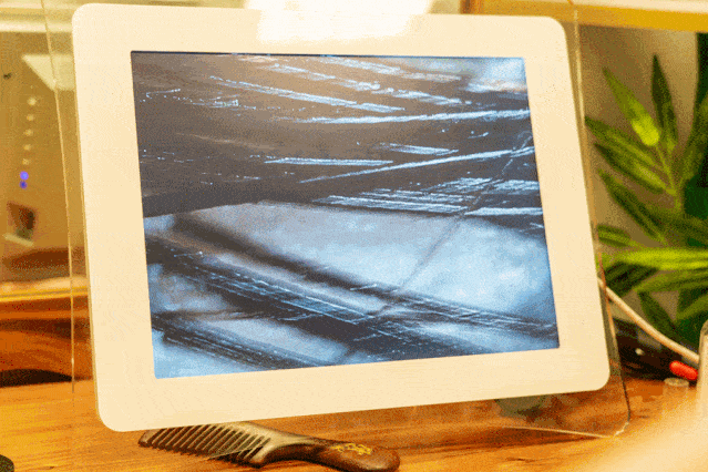 芦荟|薅羊毛啦！59.9元抢芦荟灌肤+滋养水疗+头皮清洁养护！谁做谁赚谁少女！