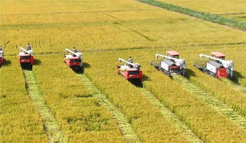 2020年海门gdp多少_2020年中国gdp变化图(2)