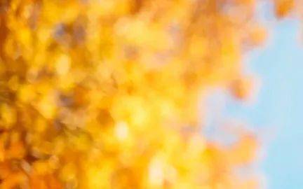 歌手2020选手排名_2020男歌手音源销量排行榜,第一出人意料,周杰伦屈居第