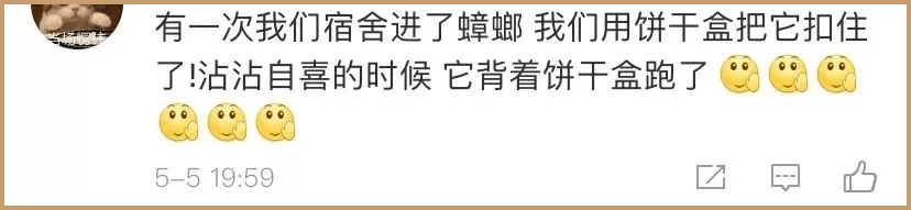 东北|到底有多强大？在珠海的东北人