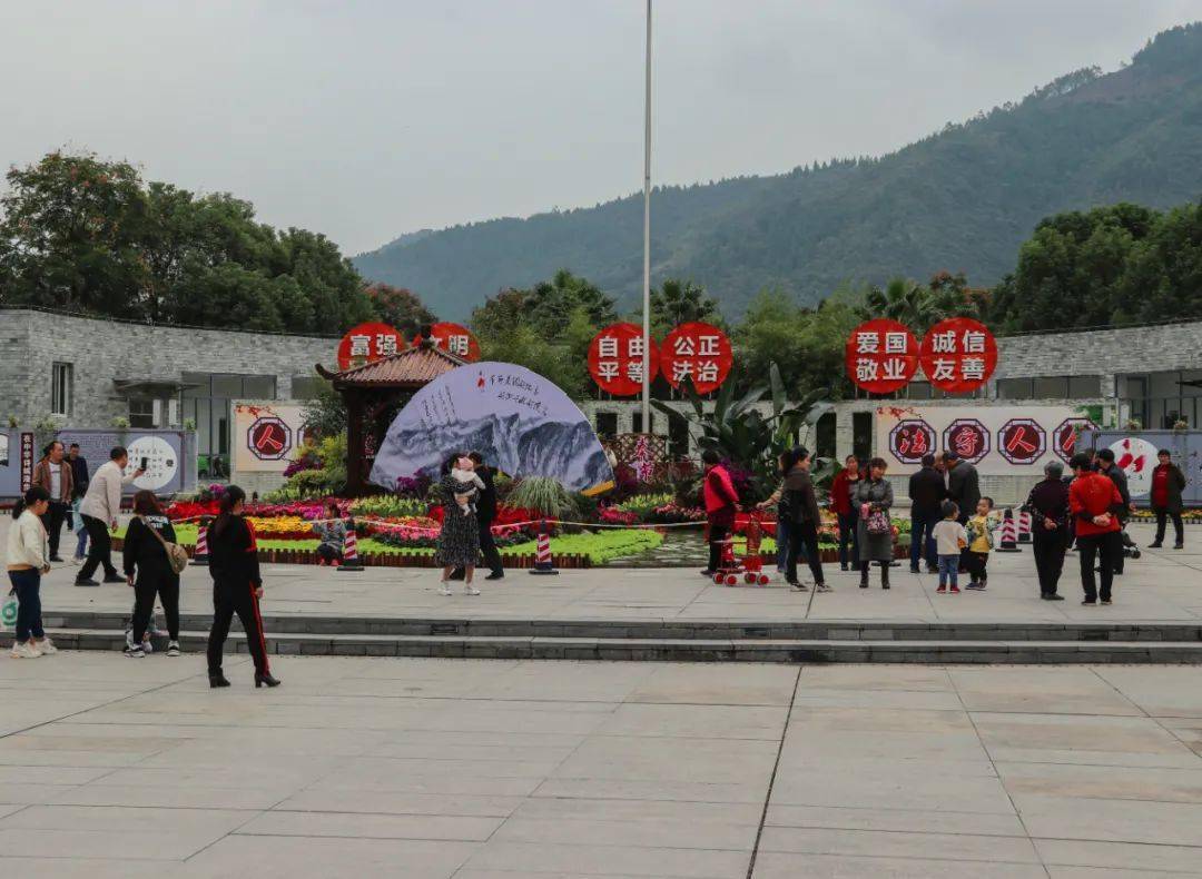 奉节参展花卉艺术博览会奇花异草市民连连称赞