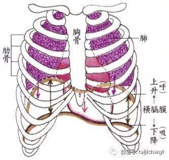 拳谱怎么写