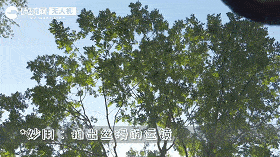 Pocket|大疆口袋小相机DJI Pocket 2套装版深度评测：变成生产力工具