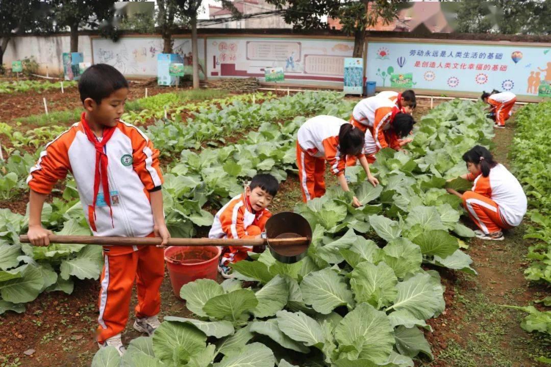 吹响少先队劳动教育集结号让红领巾争当劳动小先锋银河镇中心学校少先