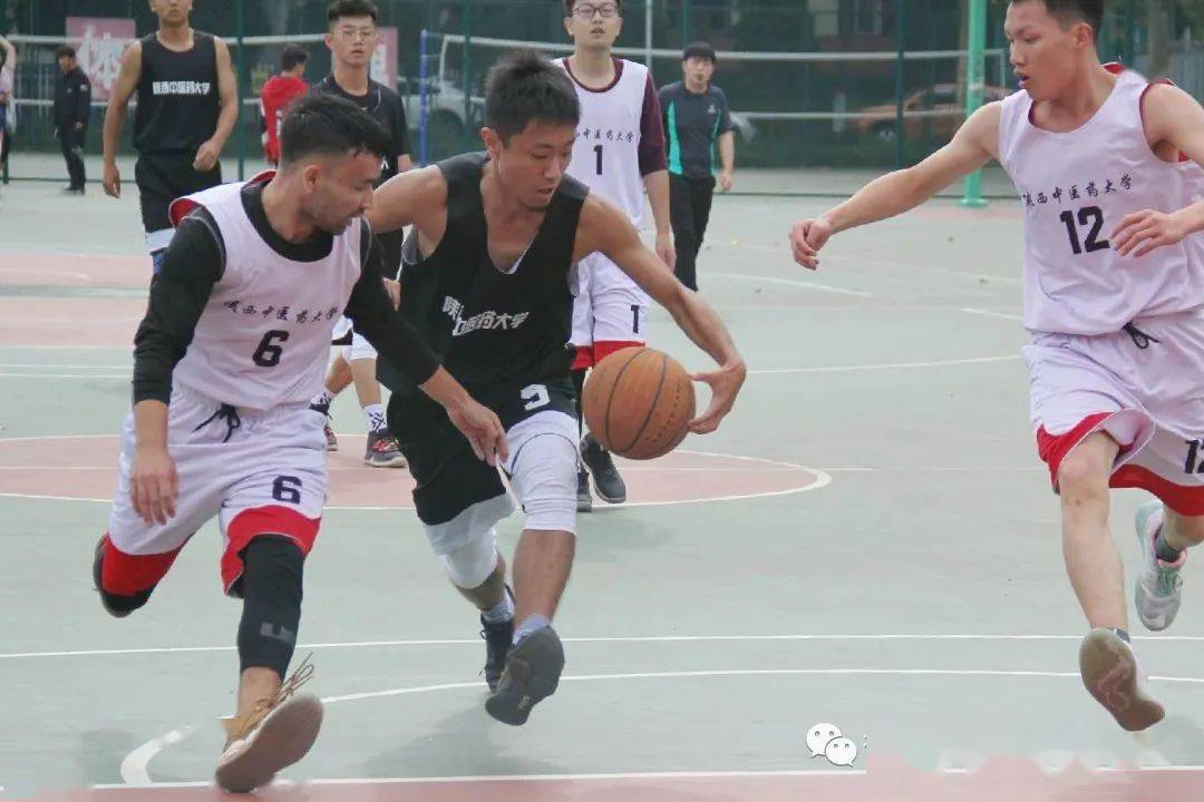 【panda sports】
球场激情洒汗水 针推男篮No. I(图8)