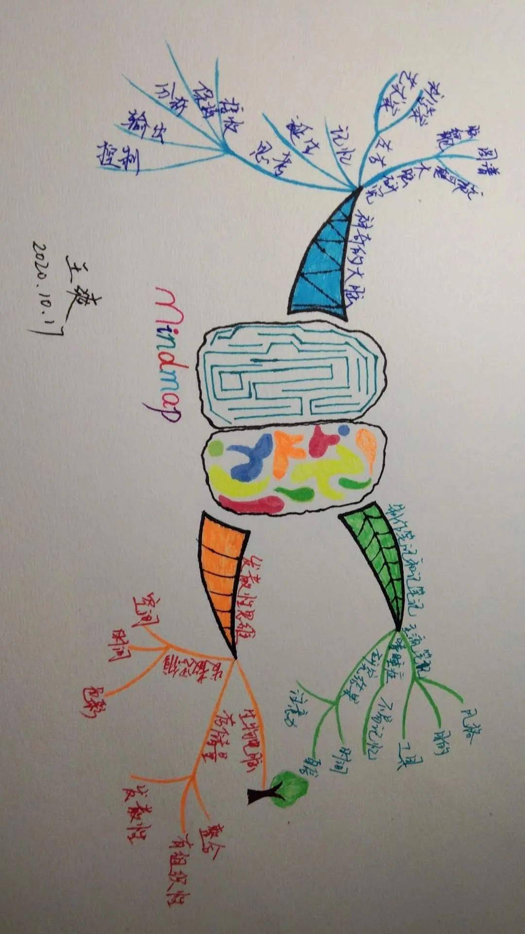 f810b9a4f3d940349183656b2936311e.jpeg