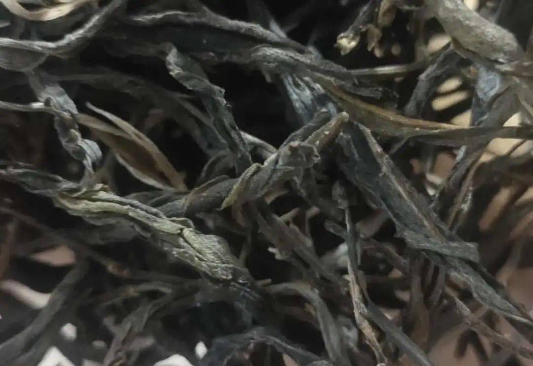 昔归茶为什么这么受欢迎