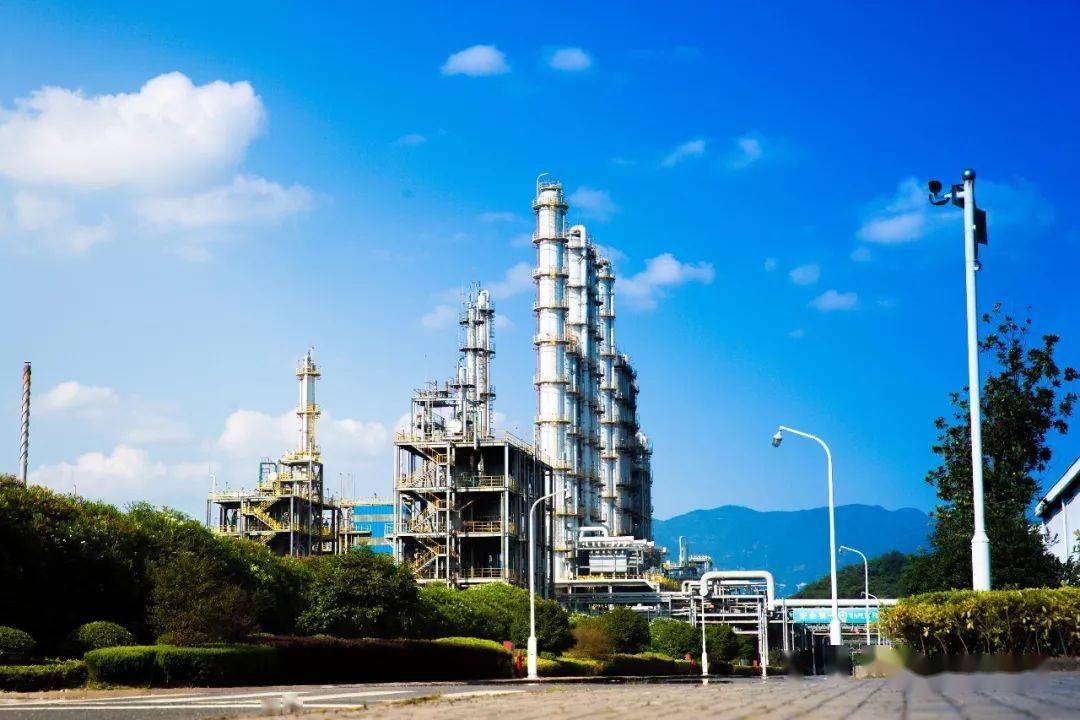 新安集团荣膺2020中国制造业500强中国石油和化工企业500强浙江省制造