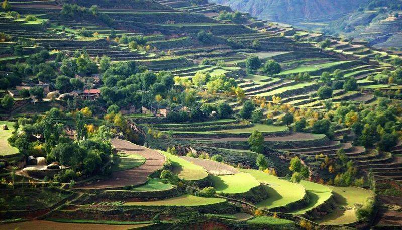 图说丨山水与人:全方位了解宁夏南部山区生态环境治成果理