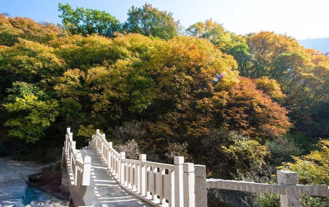 出游赏景 登高远眺啦 梨木台也在此献上尊老爱老的心意 重阳节当天(10