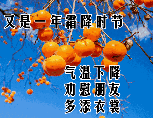 10月23日霜降最漂亮早上好动态表情图片大全,早晨好动图美图大全