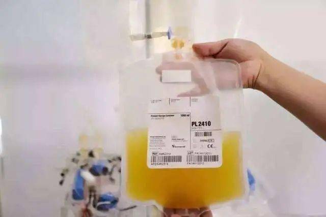 成分 献血