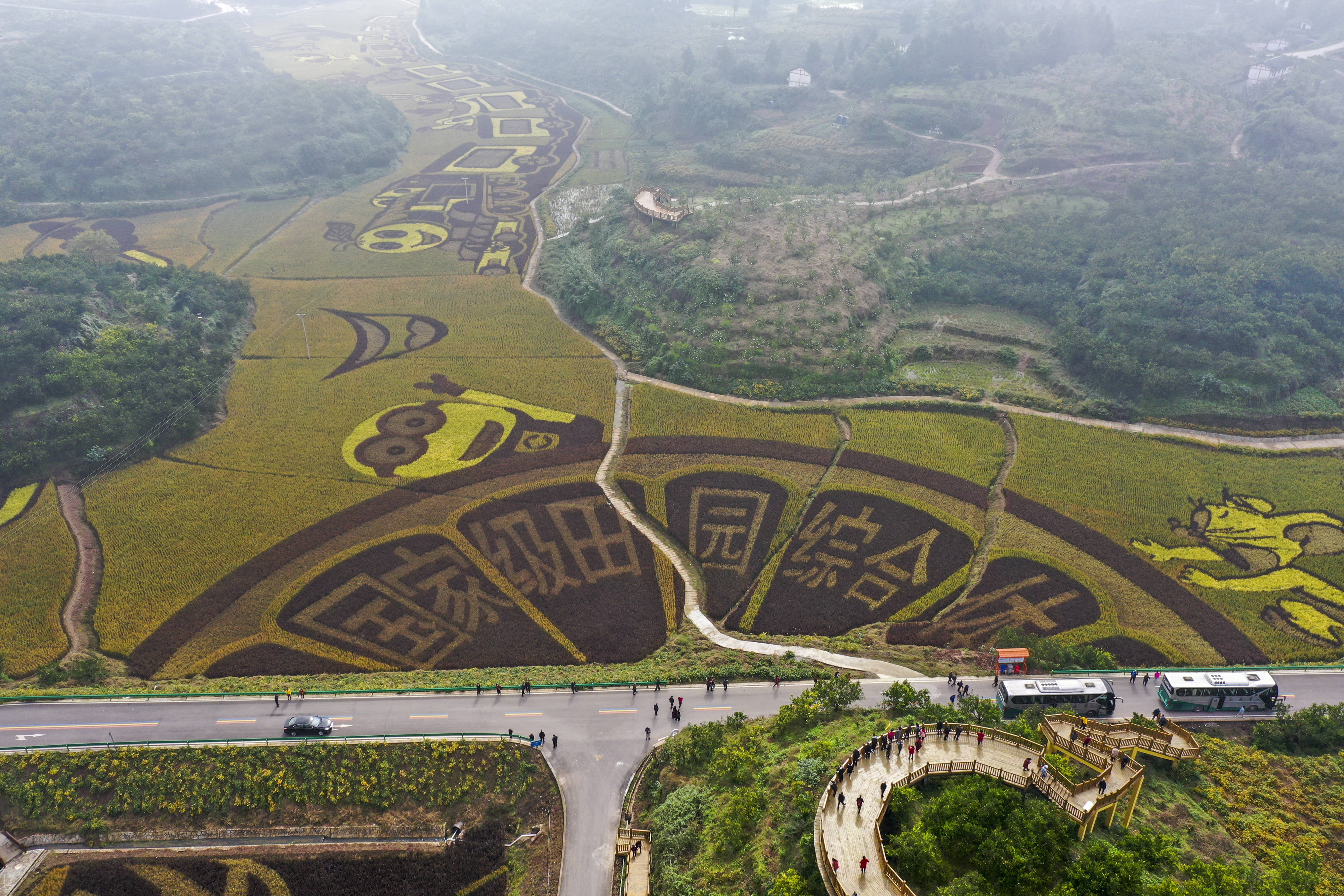 重庆忠县:乡村振兴示范园里的小康生活_田园