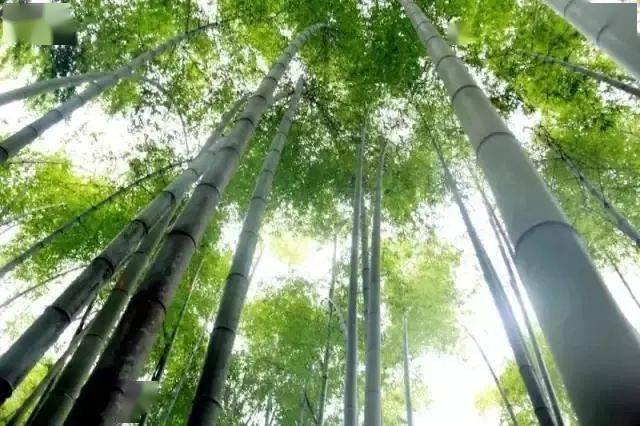 长寿凤城人口_长寿凤城华府实景图