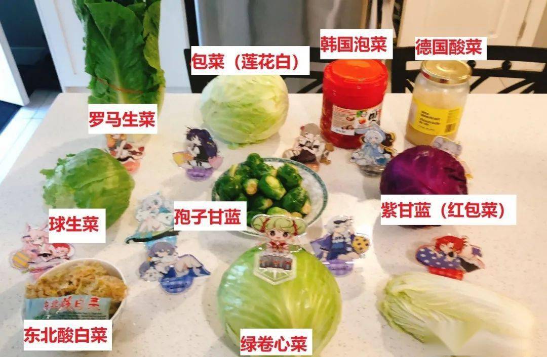 爱酱生日美食永恒菜园里的包菜宴