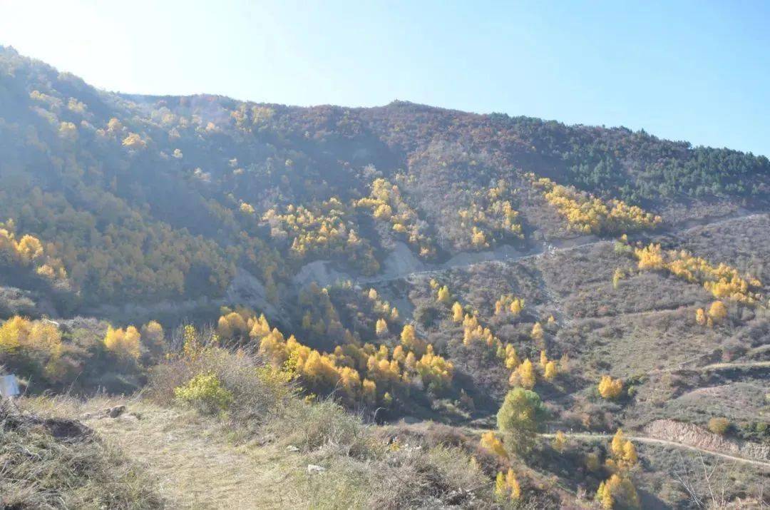新西固|关山森林公园,西固人心坎里的"打卡地"