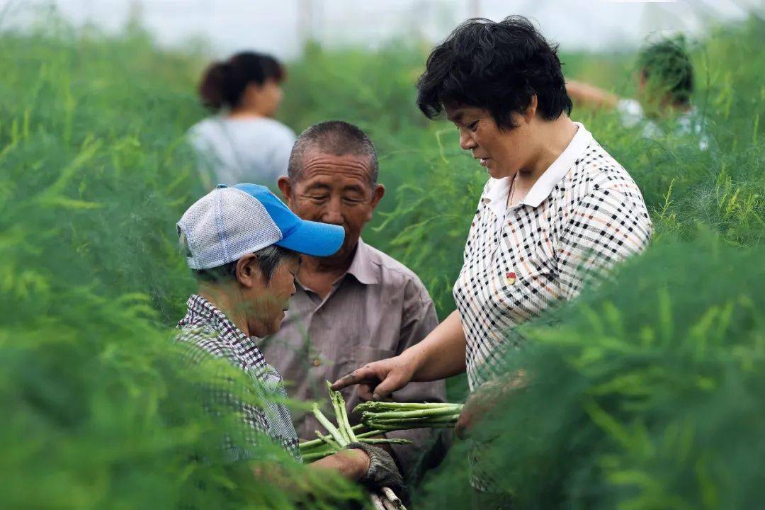 十行百星富民之星脱贫攻坚战的急先锋强村富民路的领路人张宏珍