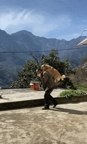 资格|京东发钱了，只有这群人有资格拿！