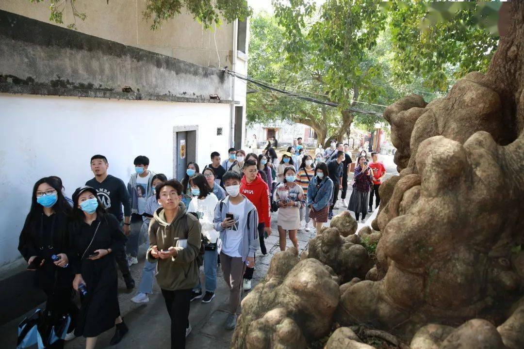 2020年涵江区各乡镇g_砀山县各乡镇地图