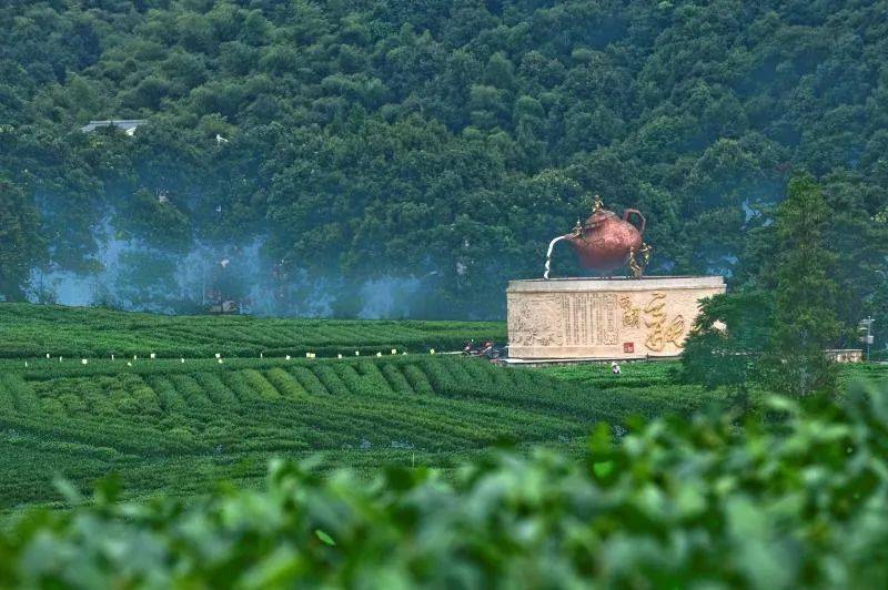 令人神往何家村,外桐坞,龙门坎…西湖区十大"网红"景点大半在转塘