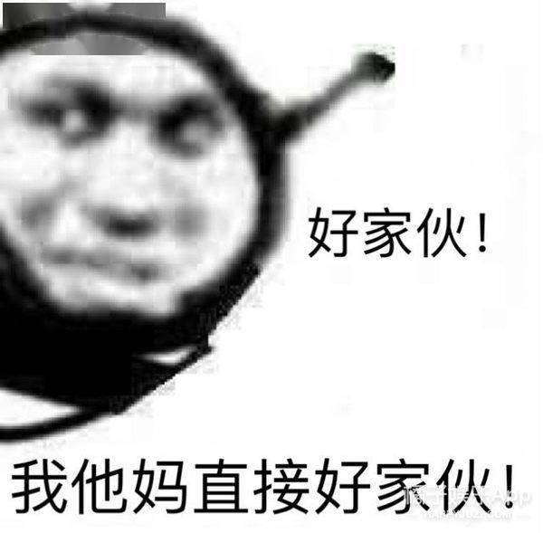 周震|原创浪姐团综有花少2内味？周震南称像变形计，徐峥表情值得编入姐学