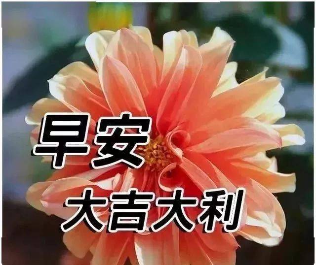 暖人心的早上好图片带字 充满正能量的早上好问候祝福
