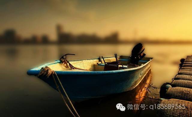 杨俊|学 会 原 谅