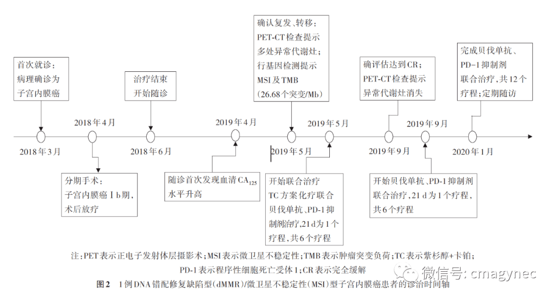 PD‐1抑制剂联合治疗复发性dMMR\/MSI型