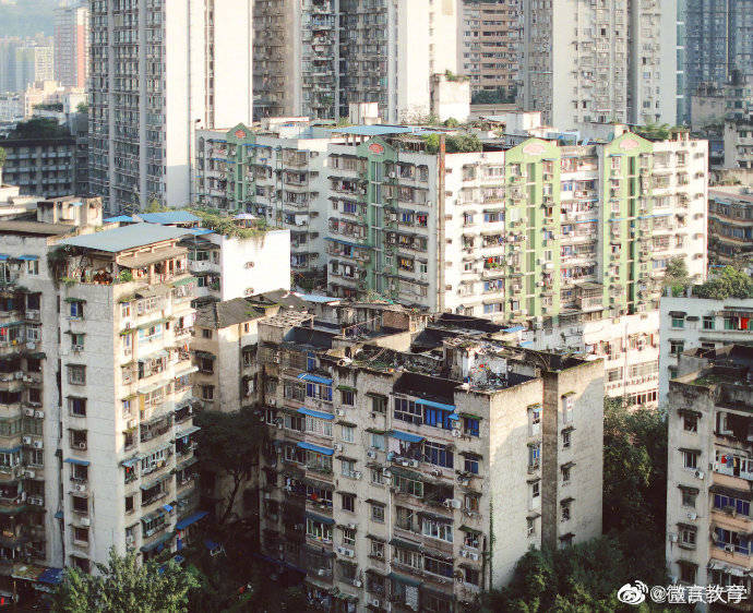校园|重阳登高赏校园秋景