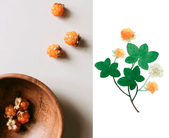 call|常年生活在0下20度！但这些极地女生的皮肤依然嫩到掐出水，都是这款芬兰国宝护肤品的功劳！李佳琦也在疯狂打call！