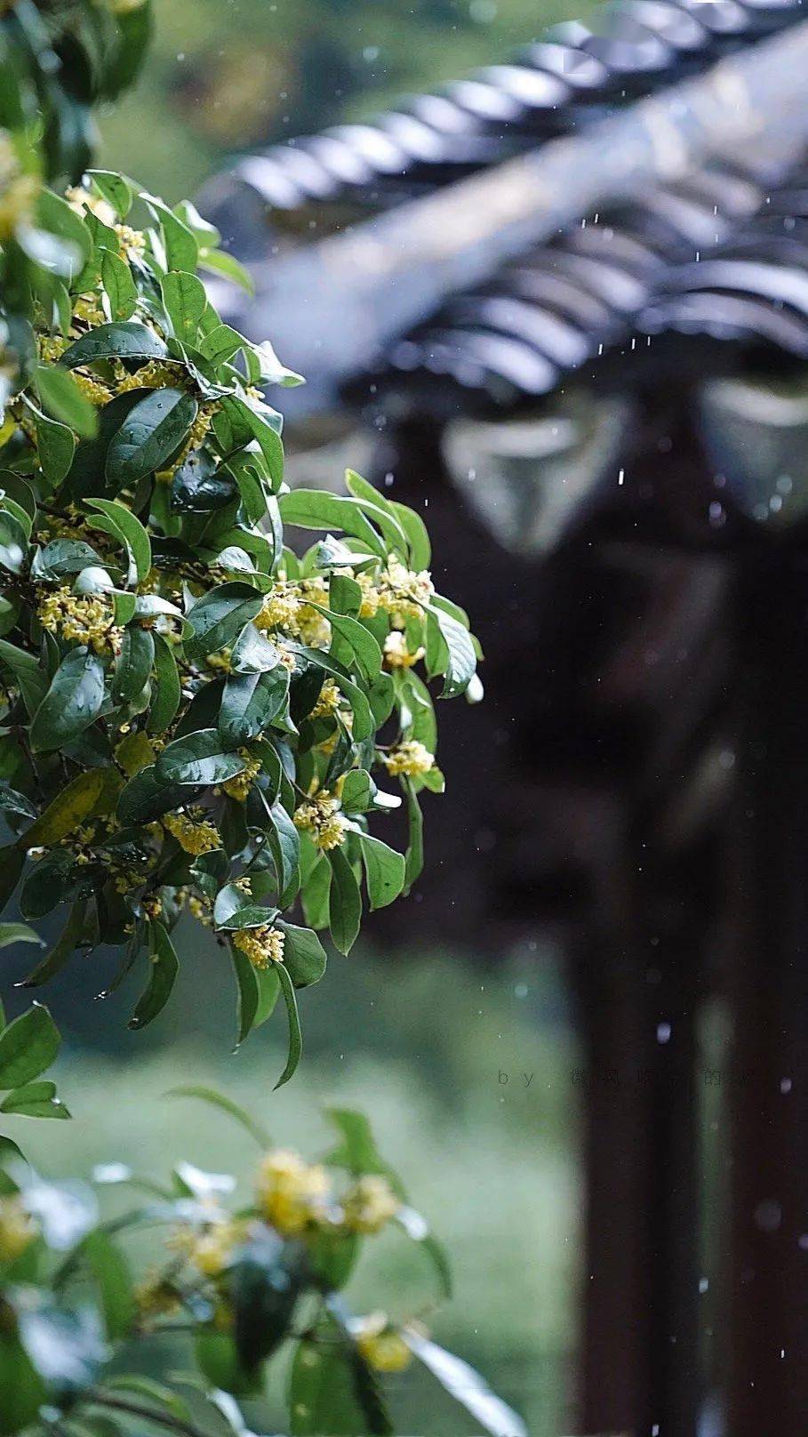 夜雨做成秋,恰上心头