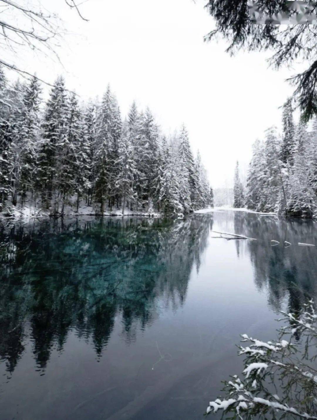 call|常年生活在0下20度！但这些极地女生的皮肤依然嫩到掐出水，都是这款芬兰国宝护肤品的功劳！李佳琦也在疯狂打call！