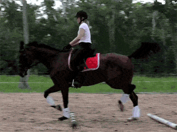 c436d30738dd4fb1b140c8045e757a76.gif