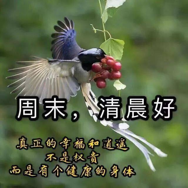 10月25日周日超漂亮的早上好问候动态图带字,10月新版