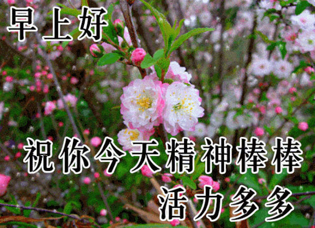 不用打字就可以聊天的图片【重阳节专辑】