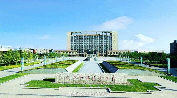 职教|陕西省教育厅关于成立陕西学前教育职教集团和陕西医养健康职教集团的批复