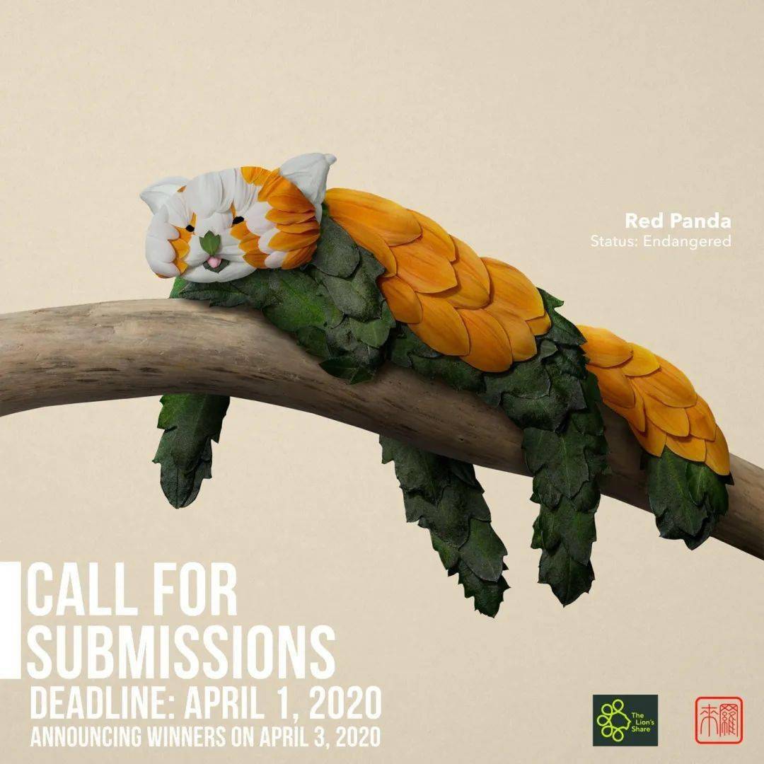 井上罗|花卉版的时尚品牌！