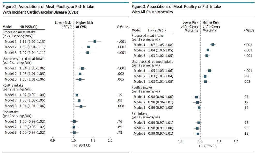 研究|JAMA子刊：食用红肉和加工肉类会增加心脏病和死亡风险！鱼肉和家禽肉则不会