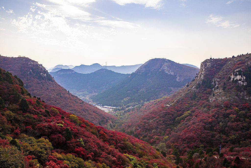 山东潍坊石门坊风景区秋色迷人 红叶染山头