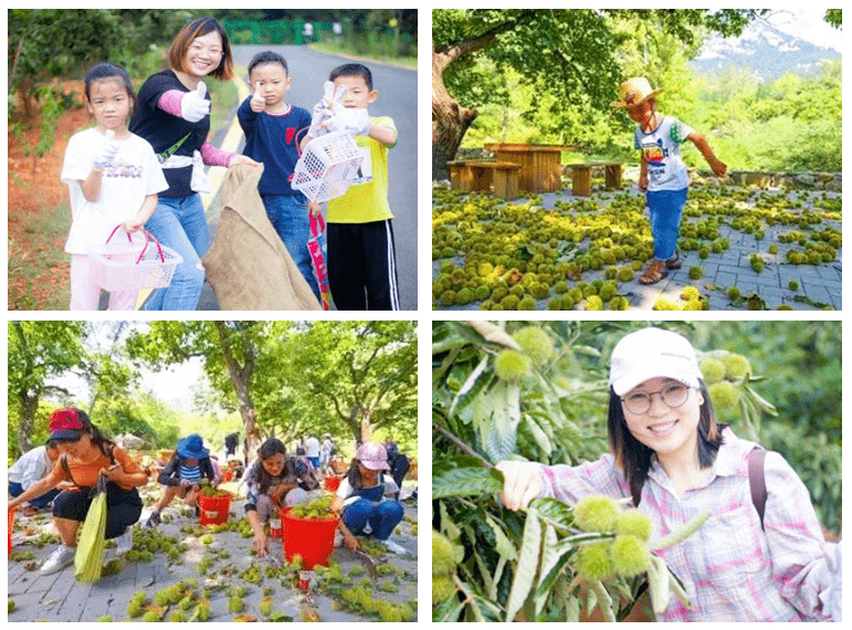 千鹭湖婚纱照_佛山鹭湖婚纱照(3)