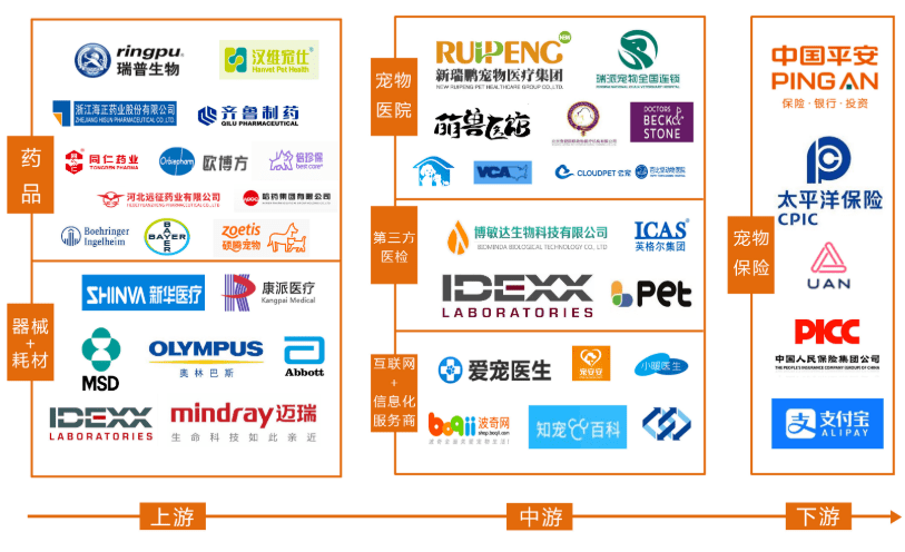 医疗|高瓴重仓近五年，腾讯、碧桂园携手入局，宠物医疗迎来拐点时刻？