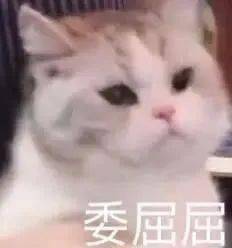 欧气|幸运来了千万不要嘚瑟，不然洗出七绝不修也不会让人快乐…