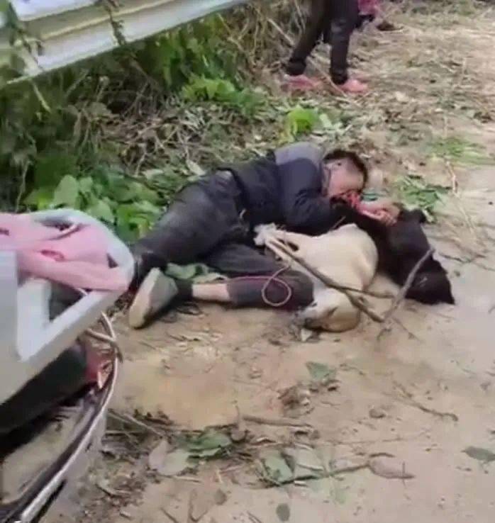 视频:有人入蒙江偷狗被抓,结果